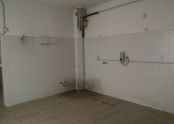 Foto 3 - Commercial Activity via dei pardella, Vecchiano - photo 3