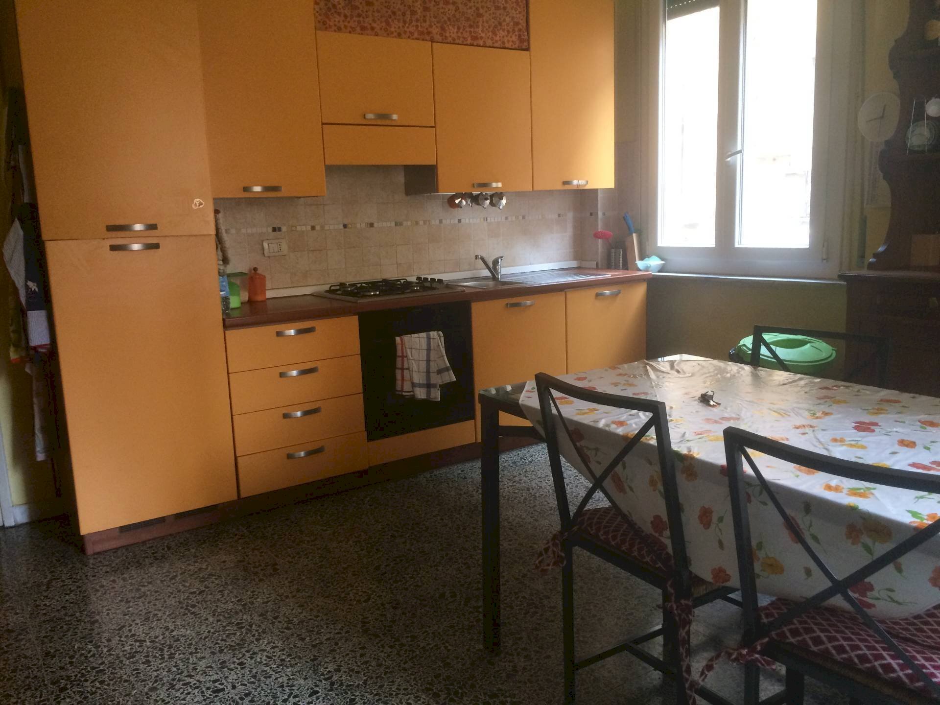 Foto 3 - Terreno non edificabile Lungarno Mediceo, Pisa - foto 3