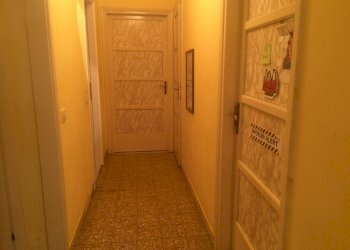 Foto 11 - Terreno non edificabile Lungarno Mediceo, Pisa - foto 11