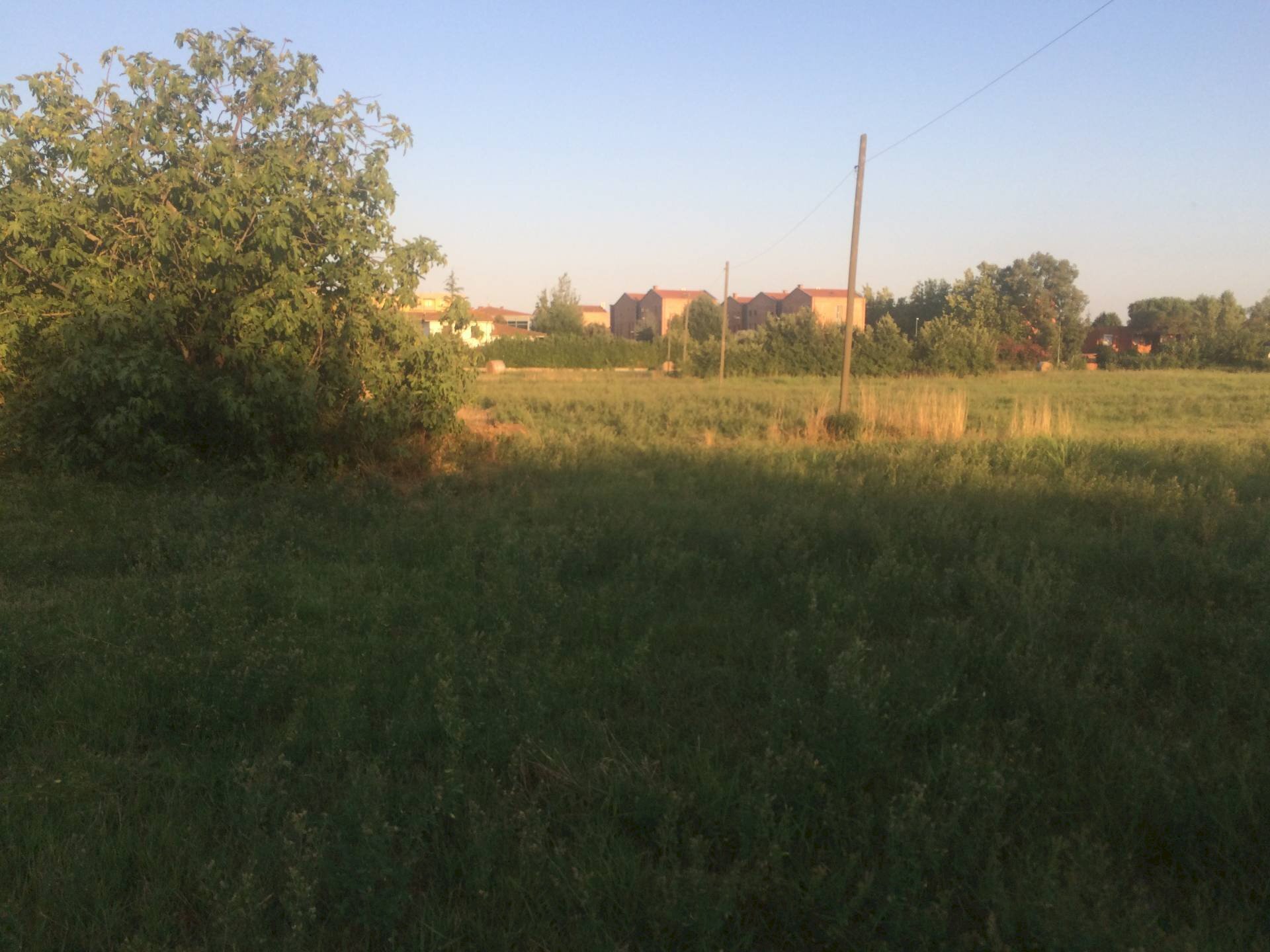 Foto 3 - Building land via provinciale per lorenzana, Cascina - photo 3