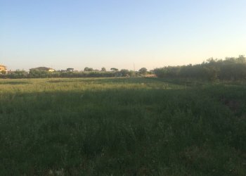 Foto 1 - Terreno edificabile via provinciale per lorenzana, Cascina - foto 1