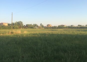 Foto 2 - Terreno edificabile via provinciale per lorenzana, Cascina - foto 2