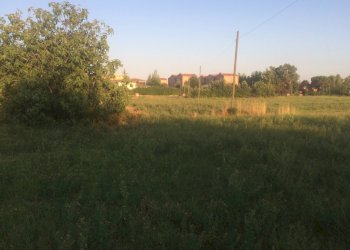 Foto 3 - Terreno edificabile via provinciale per lorenzana, Cascina - foto 3