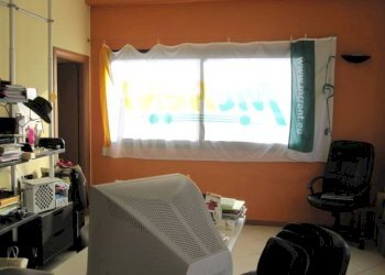 Foto 2 - Attività Commerciale via provinciale vicarese, Calci - foto 2