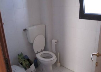 Foto 7 - Attività Commerciale via provinciale vicarese, Calci - foto 7