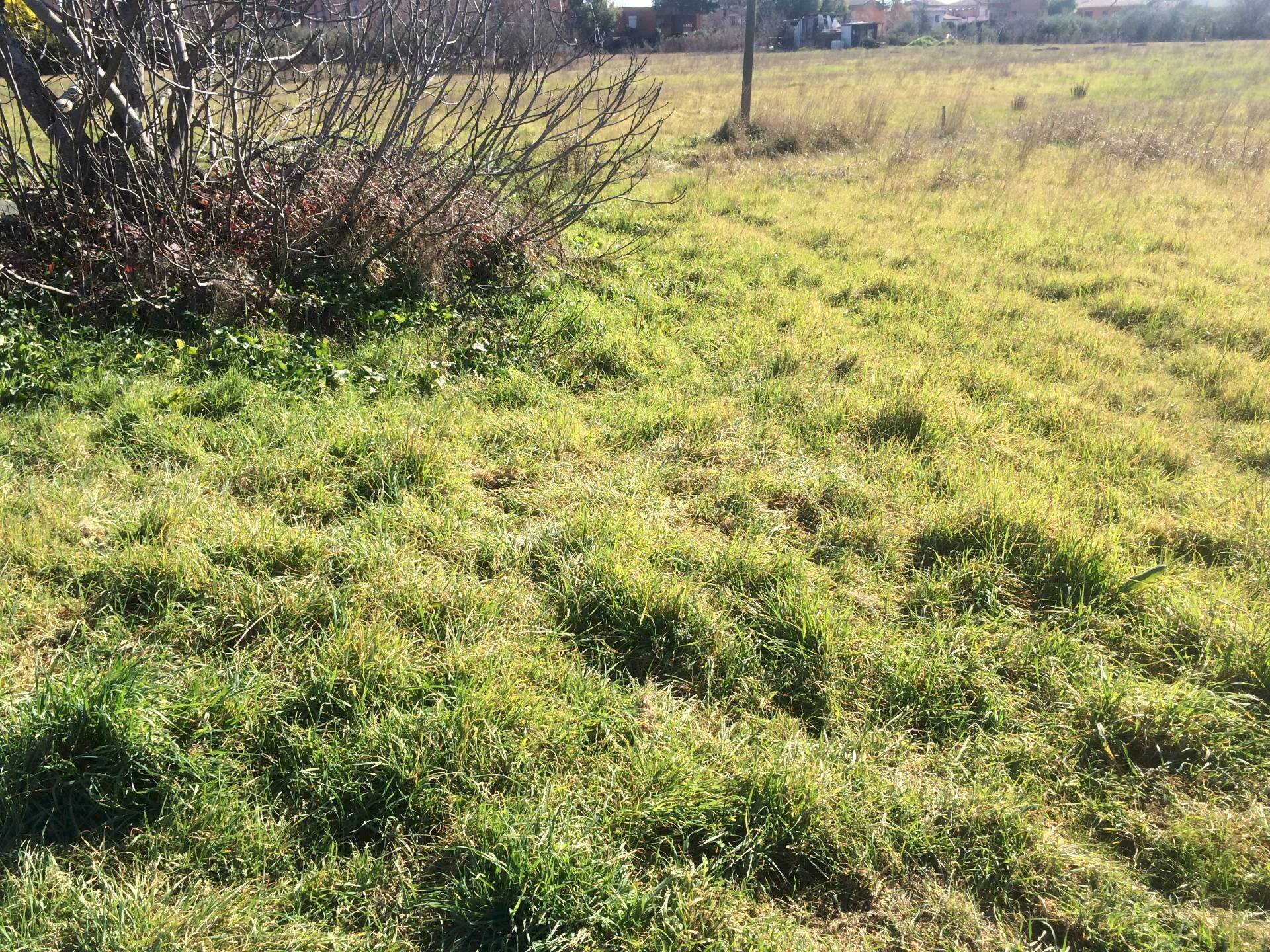 Foto 3 - Agricultural land via carlo ravera, Cascina - photo 3