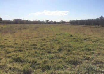 Foto 1 - Agricultural land via carlo ravera, Cascina - photo 1