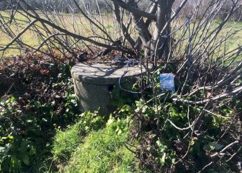 Foto 2 - Agricultural land via carlo ravera, Cascina - photo 2