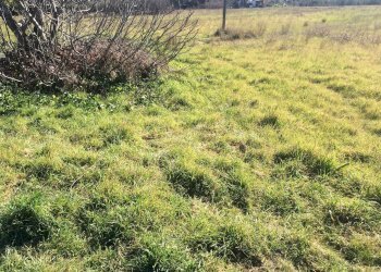 Foto 3 - Agricultural land via carlo ravera, Cascina - photo 3