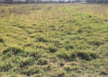 Foto 4 - Agricultural land via carlo ravera, Cascina - photo 4