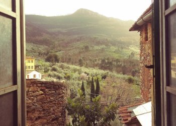 Foto 18 - Casa indipendente via eugenio III, Calci - foto 18