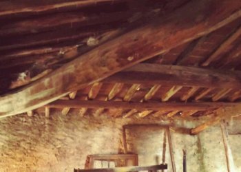 Foto 59 - Casa indipendente via eugenio III, Calci - foto 59