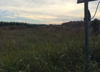 Foto 2 - Agricultural land via giusti, Cascina - photo 2