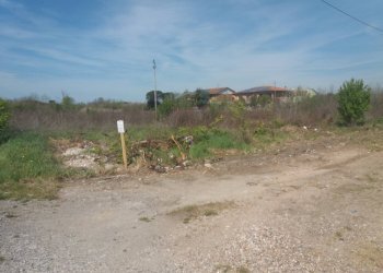 Foto 2 - Terreno agricolo via martraverso
 
-, San Giuliano Terme - foto 2