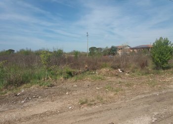 Foto 5 - Terreno agricolo via martraverso
 
-, San Giuliano Terme - foto 5