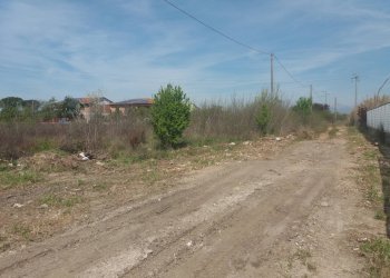 Foto 6 - Terreno agricolo via martraverso
 
-, San Giuliano Terme - foto 6