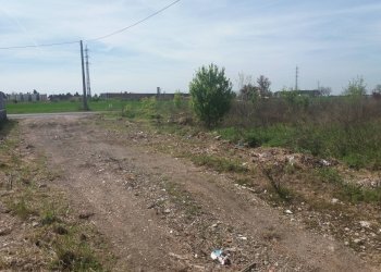 Foto 7 - Terreno agricolo via martraverso
 
-, San Giuliano Terme - foto 7