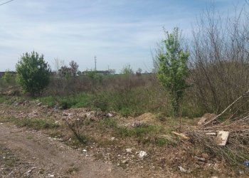 Foto 8 - Terreno agricolo via martraverso
 
-, San Giuliano Terme - foto 8