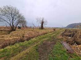 Foto 2 - Terreno agricolo via don sturzo
-, San Giuliano Terme - foto 2