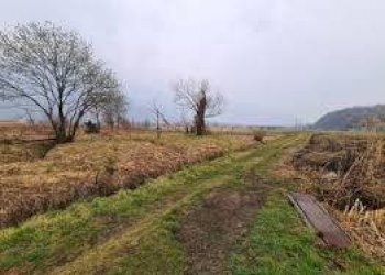 Foto 2 - Terreno agricolo via don sturzo
 
-, San Giuliano Terme - foto 2