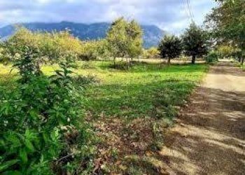 Foto 4 - Terreno agricolo via don sturzo
 
-, San Giuliano Terme - foto 4