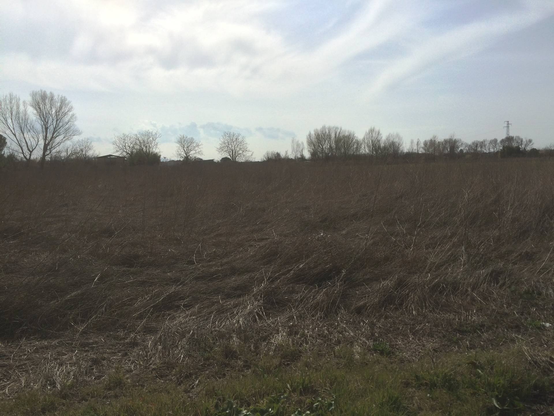 Foto 2 - Agricultural land Via Livornese, Pisa - photo 2