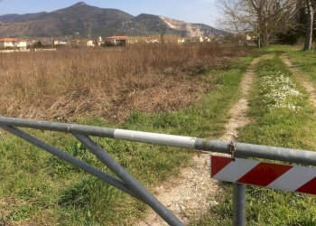 Foto 4 - Terreno agricolo Via Livornese, Pisa - foto 4