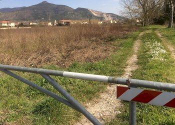 Foto 5 - Terreno agricolo Via Livornese, Pisa - foto 5