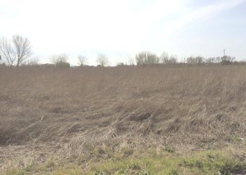 Foto 7 - Terreno agricolo Via Livornese, Pisa - foto 7