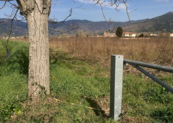 Foto 8 - Terreno agricolo Via Livornese, Pisa - foto 8