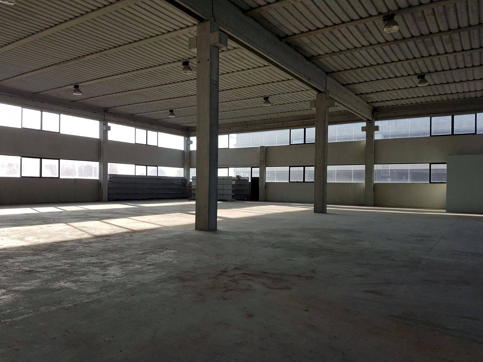 Foto 2 - Attività Commerciale piazza guerrazzi, Pisa - foto 2