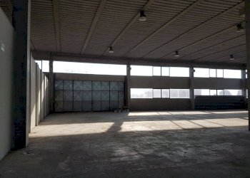 Foto 3 - Attività Commerciale piazza guerrazzi, Pisa - foto 3