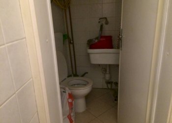 Foto 5 - Attività Commerciale viale armando diaz, Vicopisano - foto 5