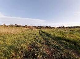 Foto 2 - Terreno agricolo via ulisse dini
 
-, San Giuliano Terme - foto 2