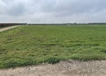 Foto 1 - Terreno agricolo via ulisse dini
-, San Giuliano Terme - foto 1