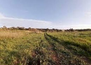 Foto 2 - Terreno agricolo via ulisse dini
-, San Giuliano Terme - foto 2