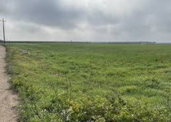 Foto 4 - Terreno agricolo via ulisse dini
-, San Giuliano Terme - foto 4