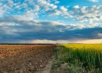 Foto 5 - Terreno agricolo via ulisse dini
-, San Giuliano Terme - foto 5