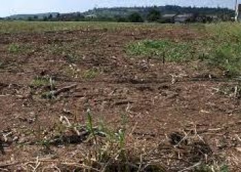 Foto 7 - Terreno agricolo via ulisse dini
-, San Giuliano Terme - foto 7