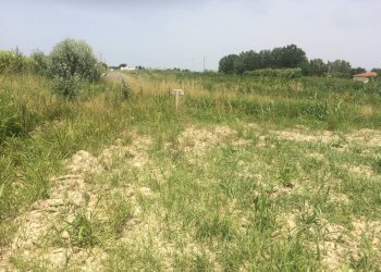 Foto 3 - Terreno agricolo via amedeo, Vecchiano - foto 3