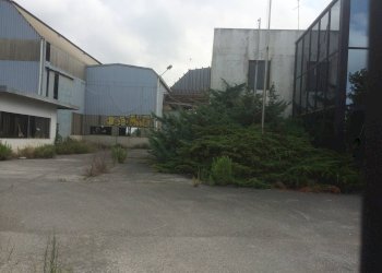 Foto 1 - Capannone Via Porta A Mare, Pisa - foto 1