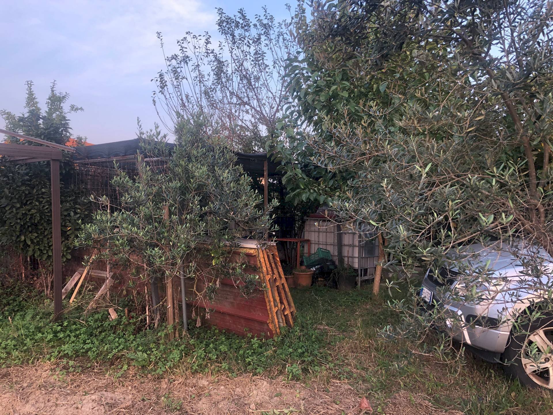 Foto 3 - Agricultural land via montanelli, Pisa - photo 3