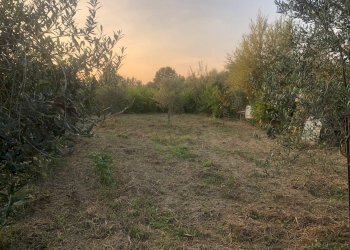 Foto 1 - Terreno agricolo via montanelli, Pisa - foto 1