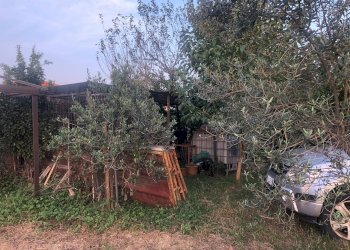 Foto 3 - Terreno agricolo via montanelli, Pisa - foto 3