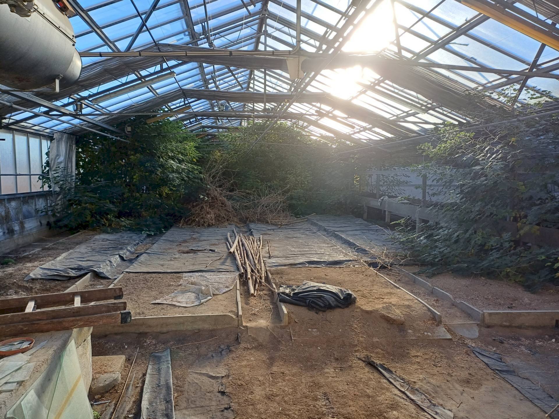 Foto 1 - Terreno agricolo via lenin
 
-, San Giuliano Terme - foto 1