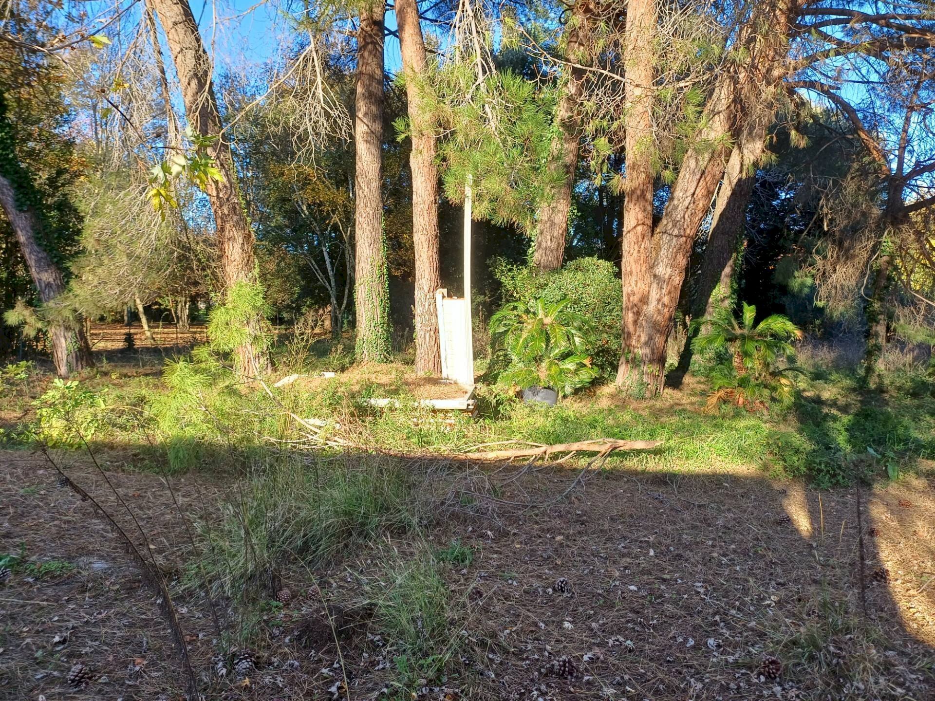 Foto 2 - Terreno agricolo via lenin
 
-, San Giuliano Terme - foto 2