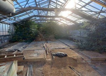 Foto 1 - Terreno agricolo via lenin
 
-, San Giuliano Terme - foto 1