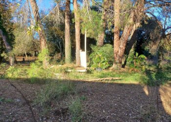 Foto 2 - Terreno agricolo via lenin
 
-, San Giuliano Terme - foto 2