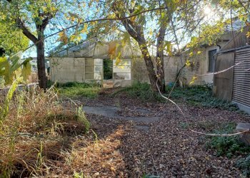 Foto 3 - Terreno agricolo via lenin
 
-, San Giuliano Terme - foto 3