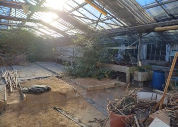 Foto 4 - Terreno agricolo via lenin
 
-, San Giuliano Terme - foto 4